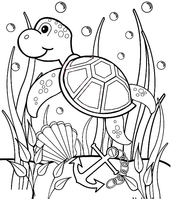 Målarbok - vattendjur - flytande sköldpadda målarbok att skriva ut