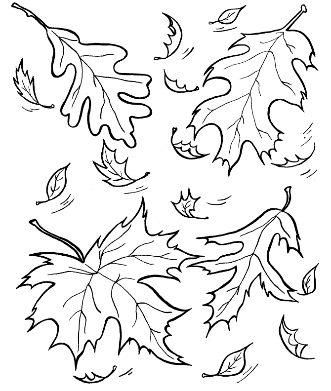 Coloring book falling autumn leaves from trees to print