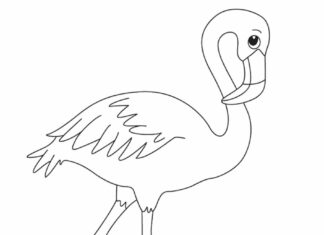 flamingó színező könyv online