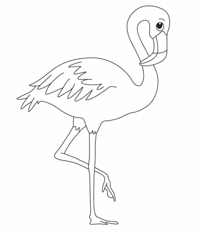 flamingo färgläggningsbok på nätet