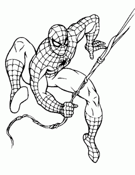 Libro para colorear Spider man para imprimir y online
