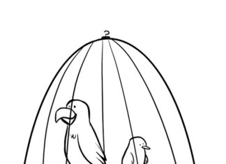pássaros domésticos em um livro de coloração de gaiolas online