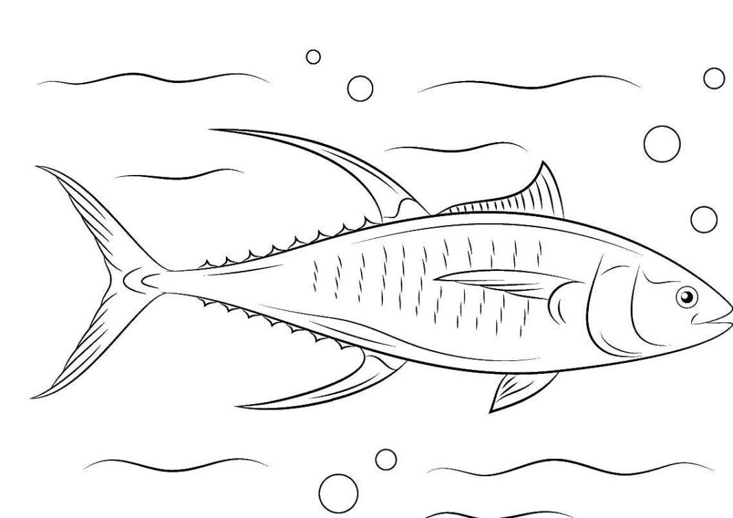 drapieżna ryba morska kolorowanka online
