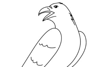 Hladná a nahnevaná vrana - omaľovánky online