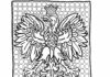 polish emblem - eagle coloring book online