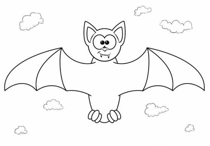 coloring book bat flying mammal