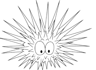 coloring book sea urchins to print from the ocean