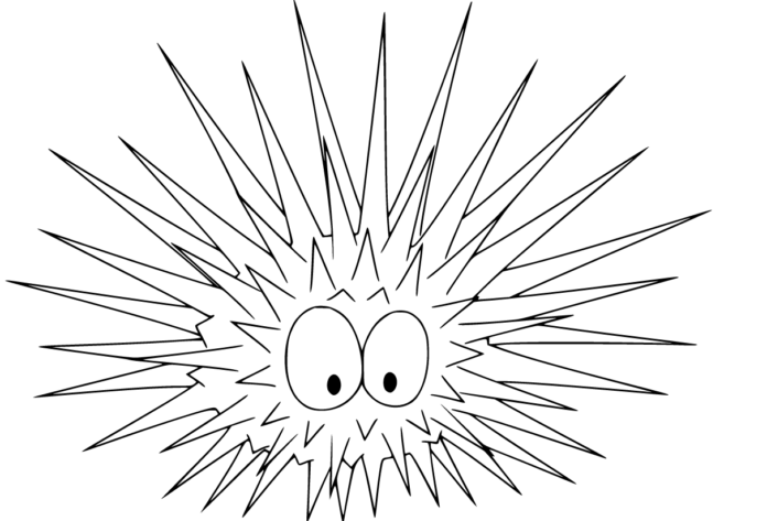 coloring book sea urchins to print from the ocean
