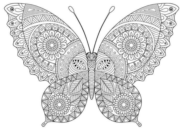 farvelægning mandala sommerfugle til udskrivning online