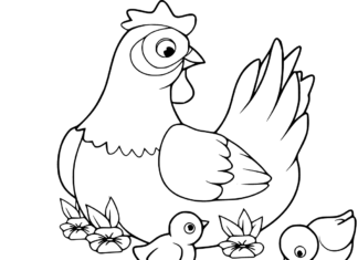 Huhn und Hühner Malbuch online