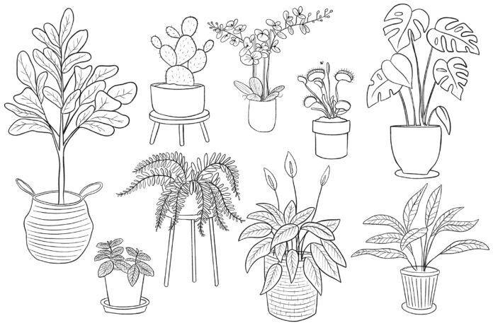 livre de coloriage en ligne sur les fleurs en pots