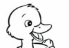 livre de coloriage en ligne pour enfants "petit canard