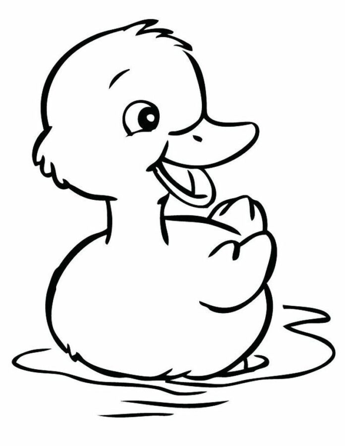 Malá kachna omalovánky pro děti online