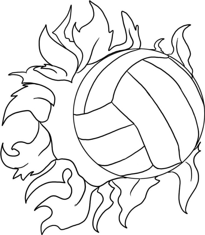 volleyball coloring book online