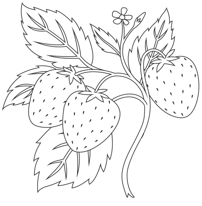 libro para colorear de frutas en una rama en línea