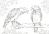 papagaios no livro de coloração de árvores online
