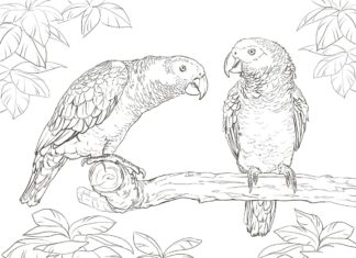 papagaios no livro de coloração de árvores online