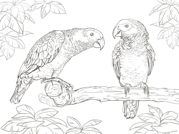 Papagáje na strome na vyfarbovanie online