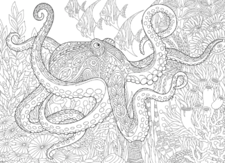 blæksprutte zentangle malebog online