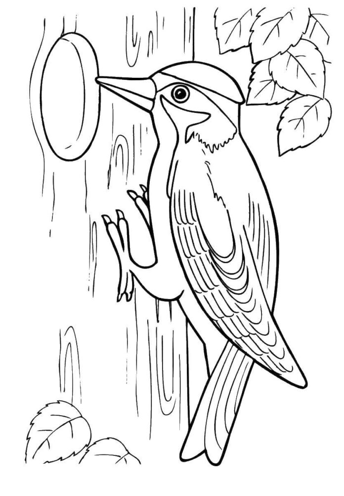 libro para colorear de un pájaro en un árbol en línea