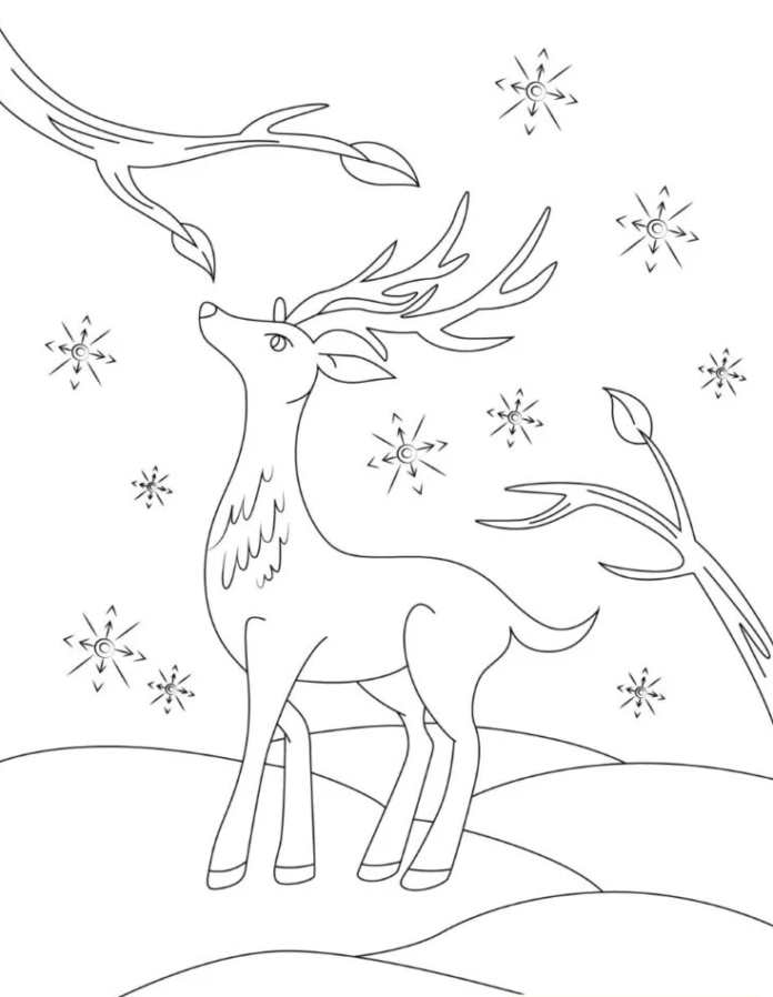 livre de coloriage en ligne sur les rennes dans la forêt