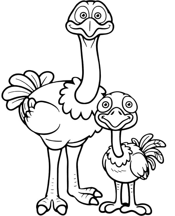 bird family coloring book online