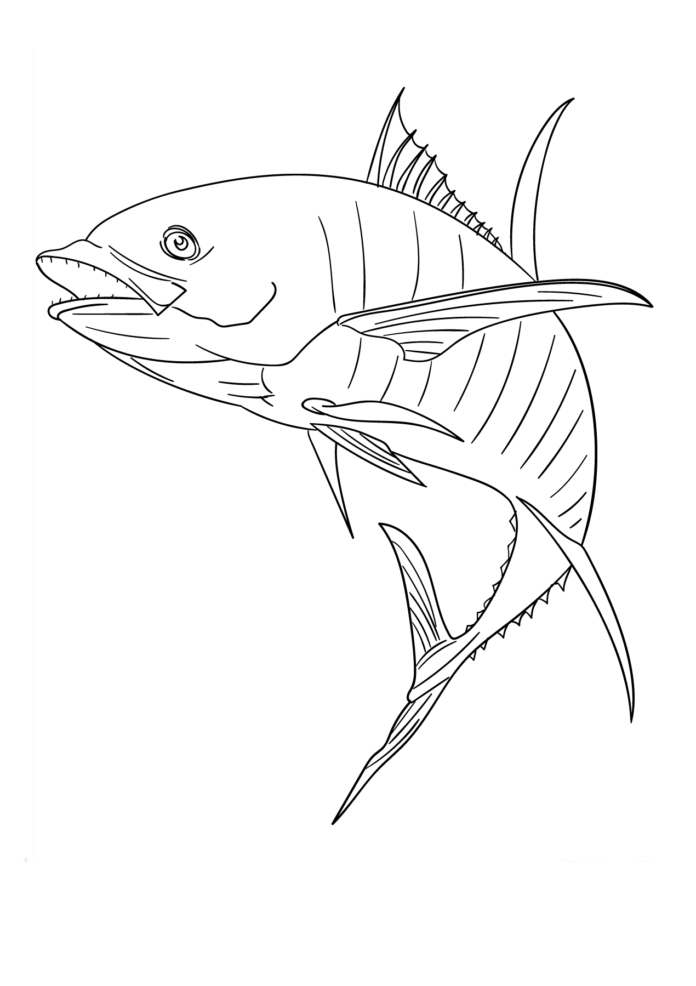 fish with long fin coloring book online