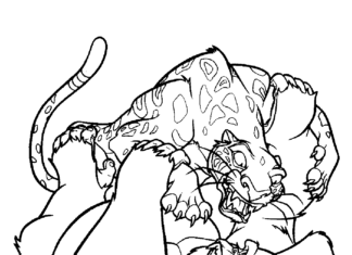 wild animal fight coloring book to print
