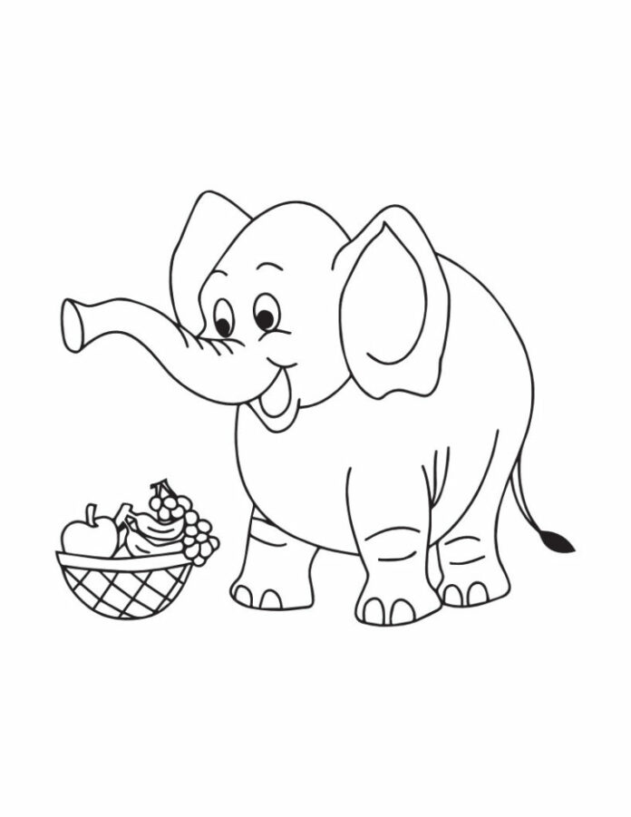 Veselé sloní omalovánky online