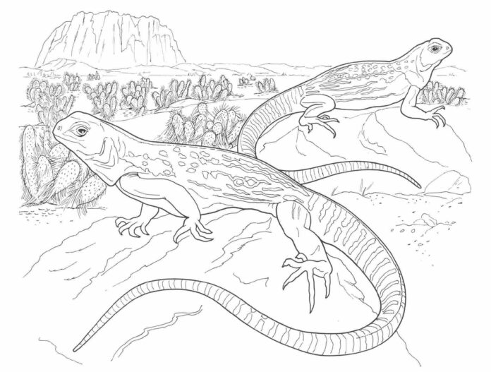 basking lizards coloring book online