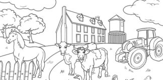 Animals on the farm online coloring book