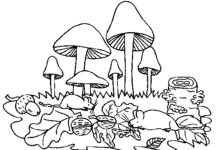 Libro da colorare online Funghi nella foresta