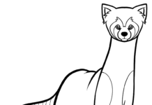 Online coloring book Animal from The Legend of Korra