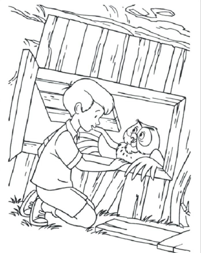 coloring page online boy and owl