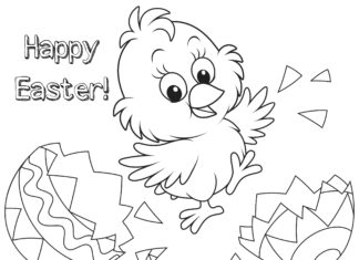 coloring page online chicken hatched from an egg