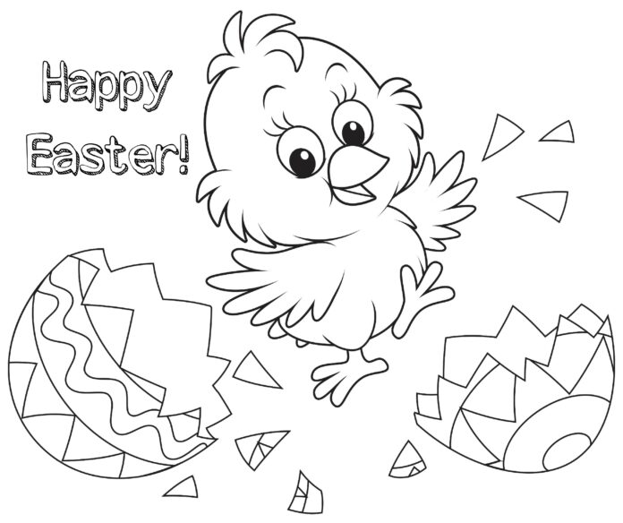 coloring page online chicken hatched from an egg