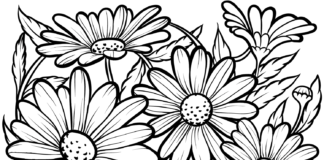online malebog med tusindfryd blomster