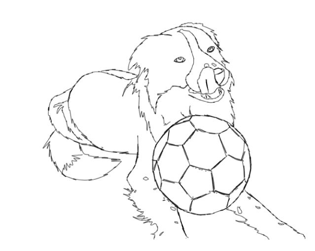 Online coloring book Border collie and ball