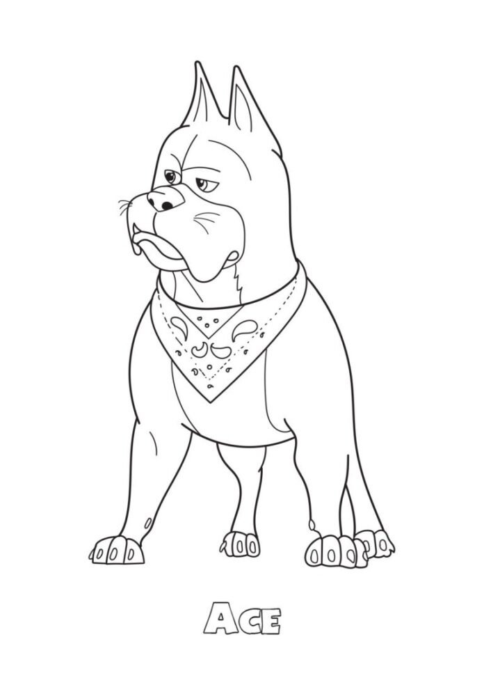 Online coloring book by Ace from DC League of Super-Pets