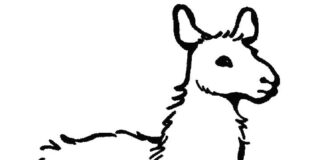 Libro da colorare online Alpaca per bambini