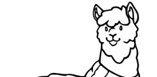 Libro para colorear en línea Alpaca con bufanda