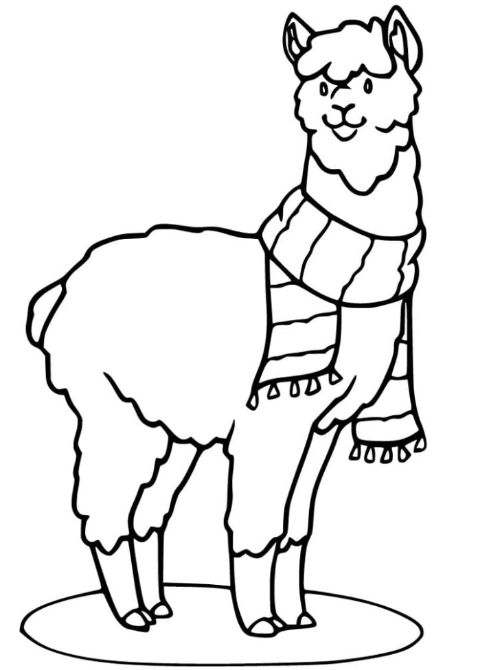 Libro para colorear en línea Alpaca con bufanda