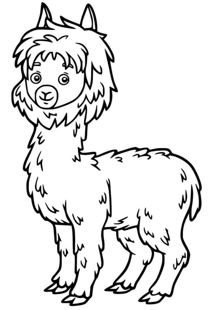 Online målarbok Alpaca från sagan