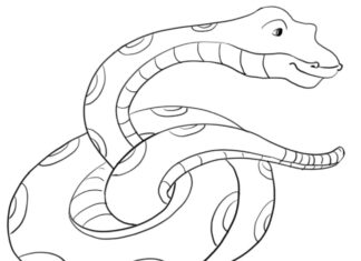Online coloring book Anaconda hunts