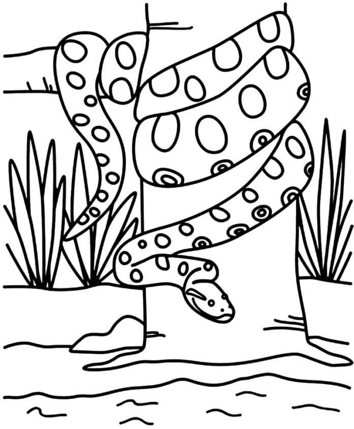 Libro para colorear en línea Anaconda colgando de un árbol