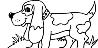 Livre de coloriage en ligne Chien beagle pour enfants