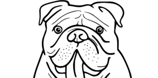 Online-Malbuch Bulldogge mit Zunge oben