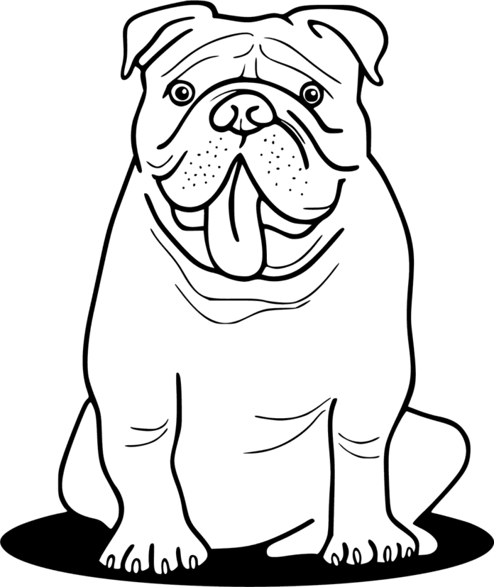 Online-Malbuch Bulldogge mit Zunge oben
