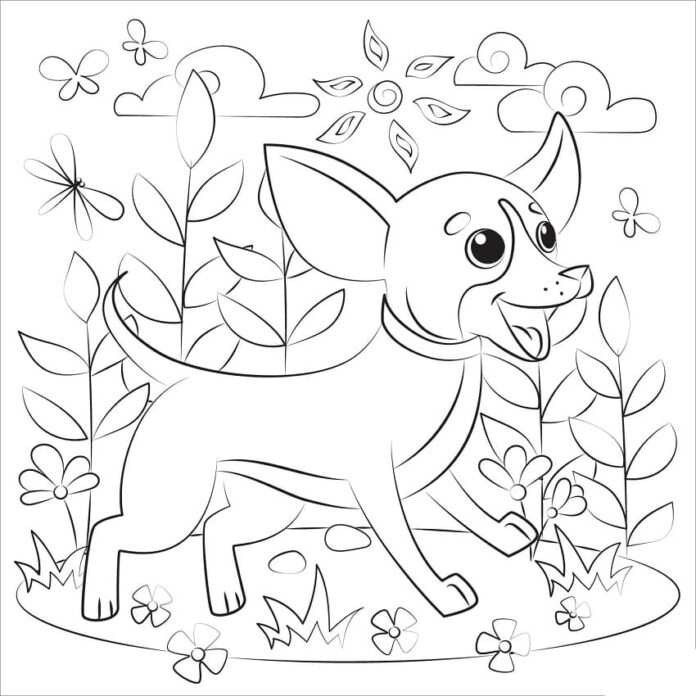 Online-Malbuch Chihuahua für Kinder