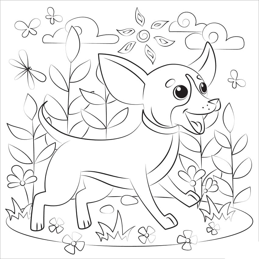 Livro online para colorir Chihuahua para crianças